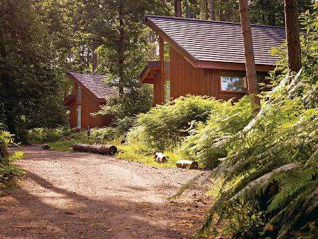 Sherwood Forest Lodges